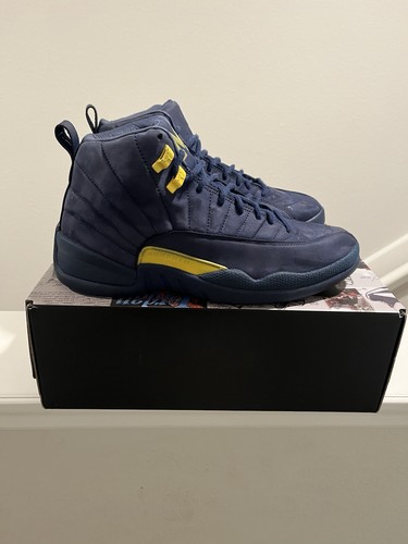 Air jordan retro michigan - 12,