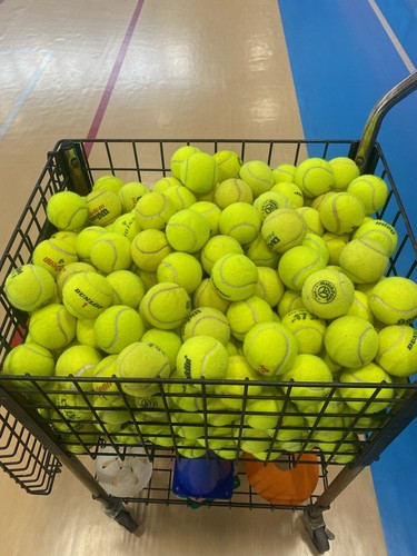 Used tennis balls - 50,
