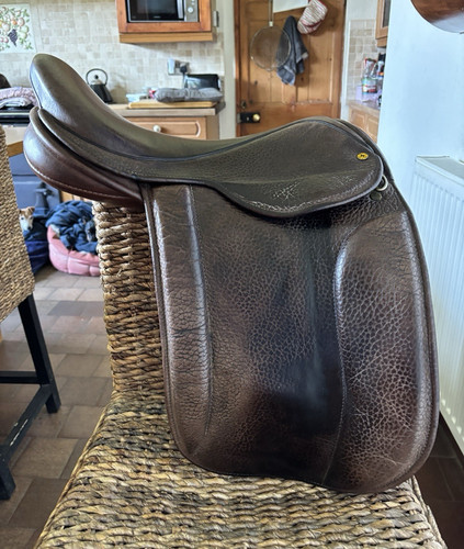 Black country show - show, saddle