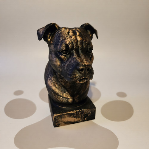Staffordshire bull terrier - staffordshire,