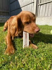 LARGE Split Wild Antler Horn Dog Chew Soft Chew Plaque Remover Dental Dog Chew