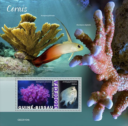 Corals