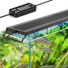 Aquarium Fish Tank, Full