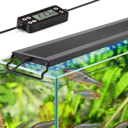Aquarium fish tank full - fish,
