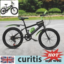 20" Green Outdoor Mountain