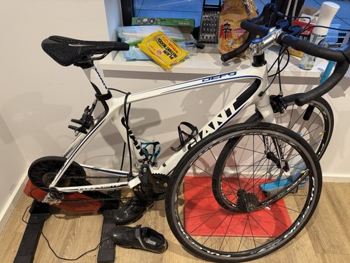 Giant defy 2013 carbon - defy, fiber