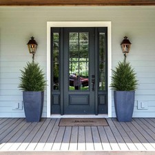 Pack 2ft artificial cedar - 2,
