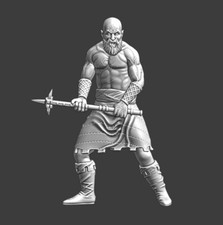 Northern Crusades Miniatures