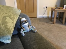 Crazy frog annoying - crazy, thing