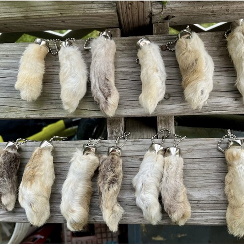 Lucky rabbits feet key - 10,