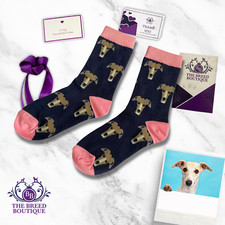 WHIPPET GREYHOUND SOCKS CUTE