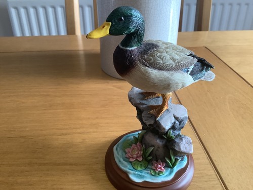 Mallard border - a6054),