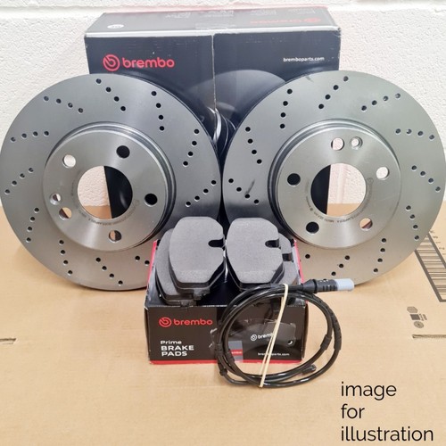 Brembo front drilled - front, brake