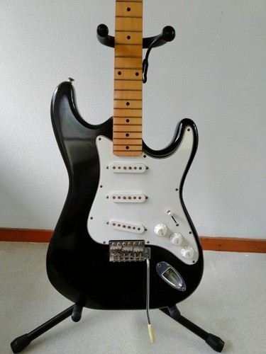 Holly stratocaster type guitar - stratocaster,