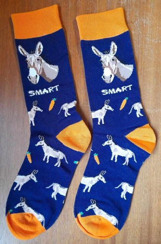 Novelty donkey socks - novelty, smart