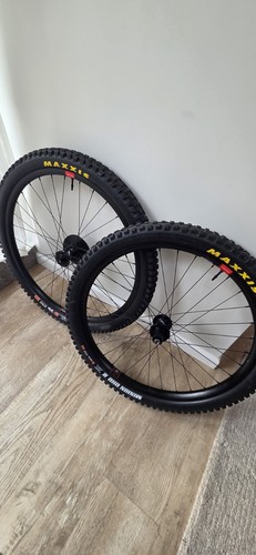 Santa cruz reserve alloy - cruz,