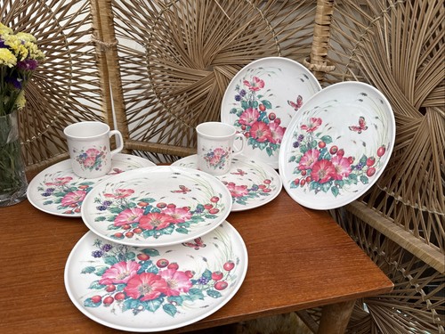 Vintage picnic set - melamine, 6