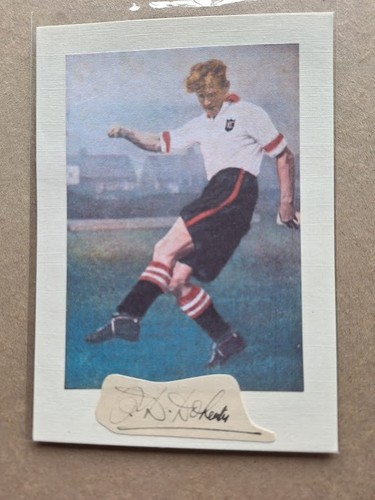 Peter doherty northern ireland - doherty,