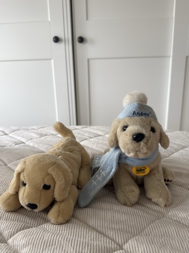 Two andrex puppy - two,