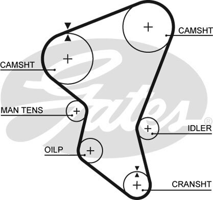 New timing belt - new, for