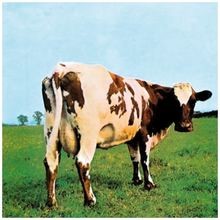 Atom heart mother pink - by,