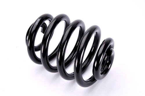 Suspension spring rear right - spring,