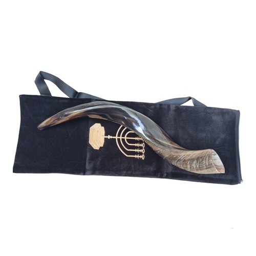 Yemenite kudu horn - yemenite,
