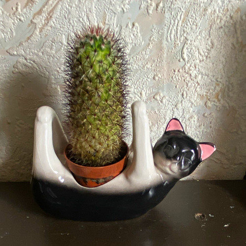 Ceramic pottery cat figurine - ceramic,