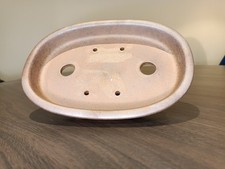authentic Yixing bonsai pot