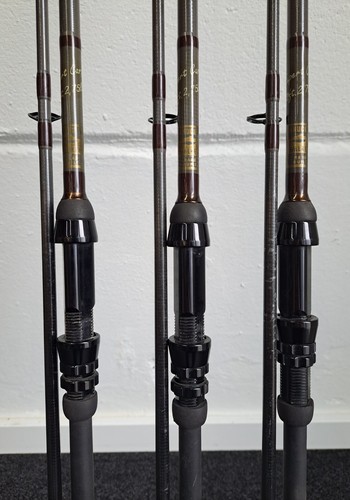 Bruce walker expert - walker, carp