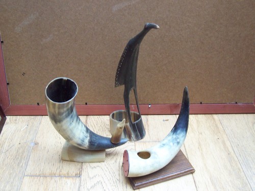 Collection real horn bird - of,
