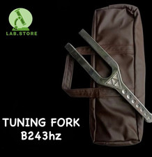 B243hz - Crown Chakra