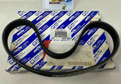 Rfw service belt fiat ducato - belt,