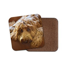 Cute Brown Labradoodle Coaster