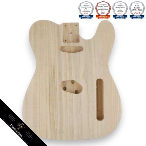 Unfinished electric bass - electric,