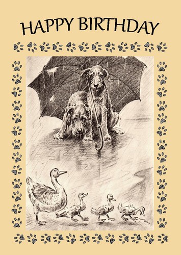Irish terrier dog birthday - irish,