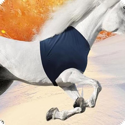 Horse shoulder guard practical - horse,