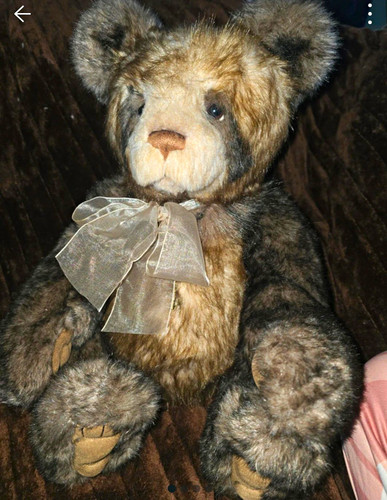 Charlie bears bear - charlie,