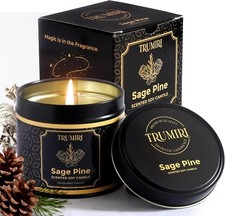 Huge Sale Pine Sage Scented