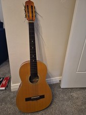 Suzuki Number 6 Acoustic