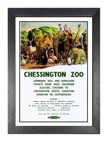 Chessington zoo old - zoo, advert