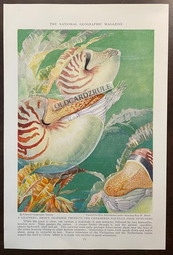 Original 1935 nat geo - original, geo.