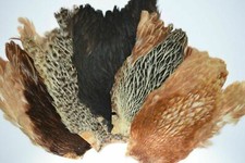 Gordon Griffiths Hen Capes Dyed & Natural Fly Tying etc