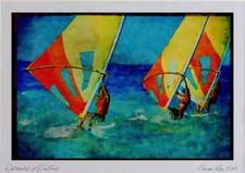 Sailing 339082 O'Neill Cup