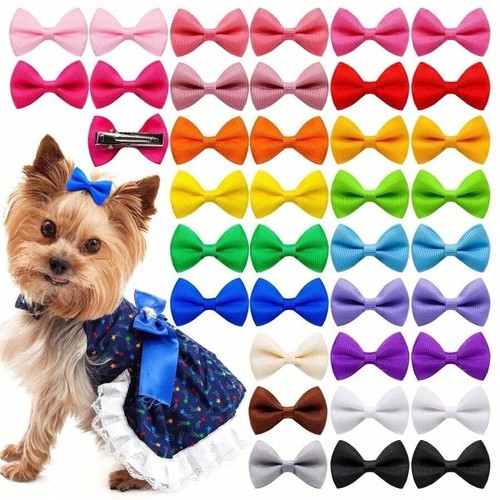 20pcs dog hair - hair, puppy