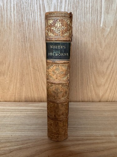 1876 gilbert white - gilbert,