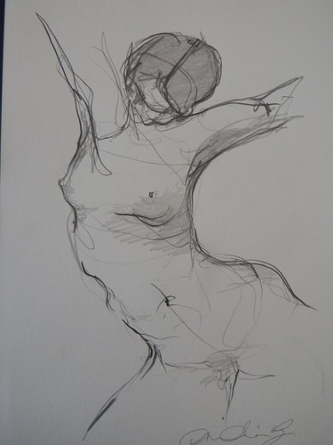 Female nude pencil drawing - ,