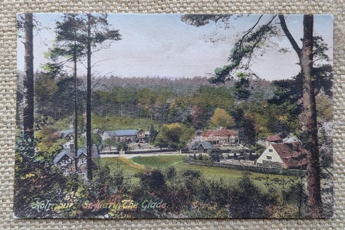 Holmbury mary the glade - mary,