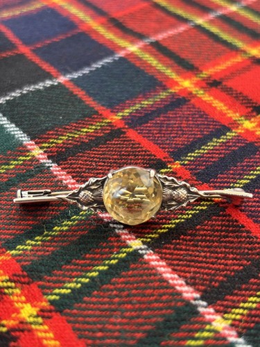 Vintage scottish thistle - vintage,