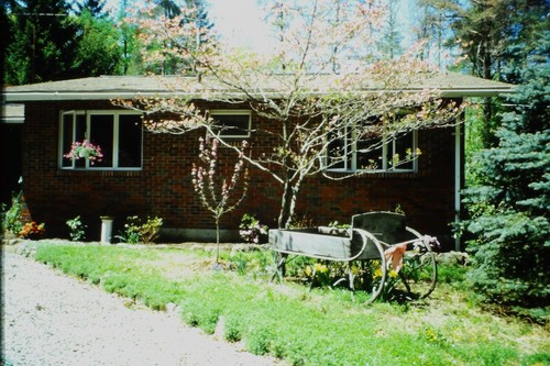 C1980 35mm slide brick - c1980's,